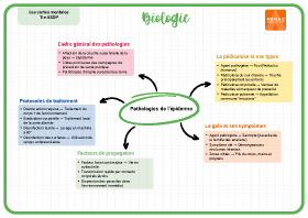 Image d'illustration