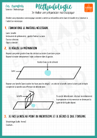 Image d'illustration