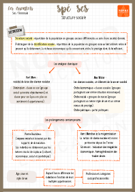 Image d'illustration