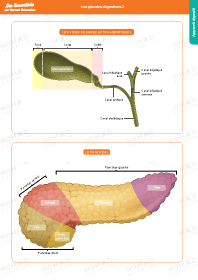 Image d'illustration