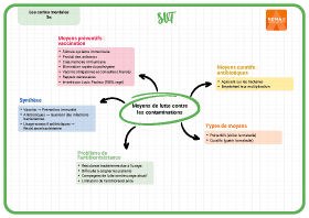 Image d'illustration