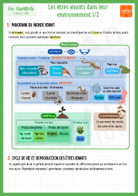 Image d'illustration