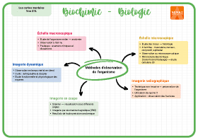 Image d'illustration