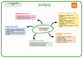 Image d'illustration
