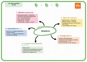 Image d'illustration