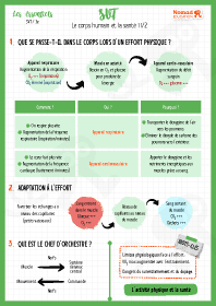 Image d'illustration