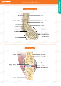 Image d'illustration