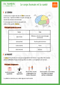 Image d'illustration