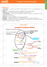 Image d'illustration
