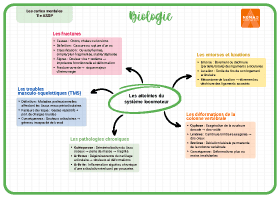 Image d'illustration