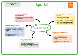 Image d'illustration