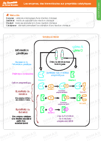 Image d'illustration