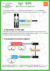 Image d'illustration