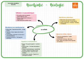 Image d'illustration