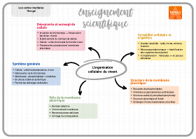 Image d'illustration