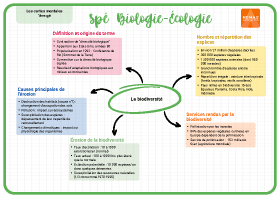 Image d'illustration