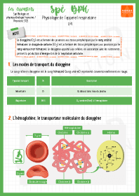 Image d'illustration