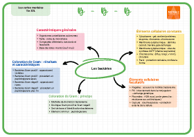 Image d'illustration