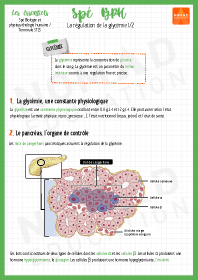 Image d'illustration