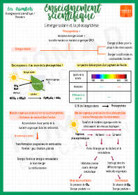 Image d'illustration