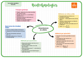 Image d'illustration