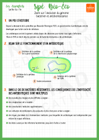 Image d'illustration