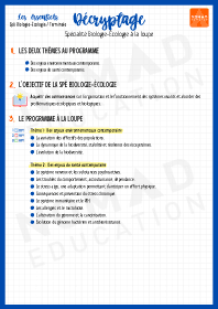 Image d'illustration