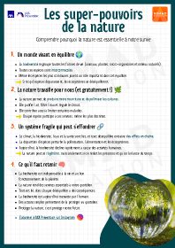Image d'illustration
