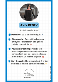 Image d'illustration