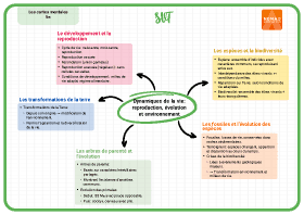 Image d'illustration