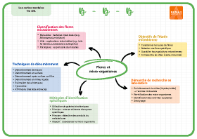 Image d'illustration