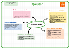 Image d'illustration