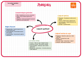 Image d'illustration