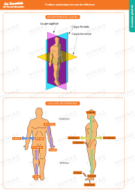 Image d'illustration