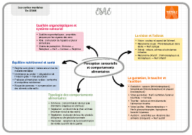 Image d'illustration