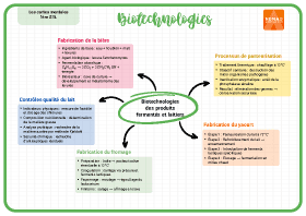 Image d'illustration