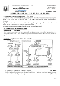 Image d'illustration