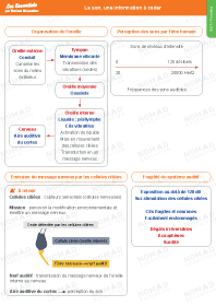 Image d'illustration