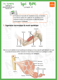 Image d'illustration