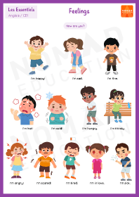Image d'illustration