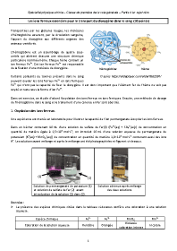 Image d'illustration