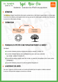 Image d'illustration