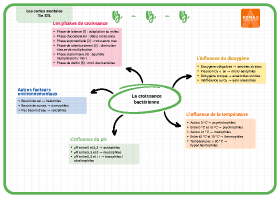 Image d'illustration