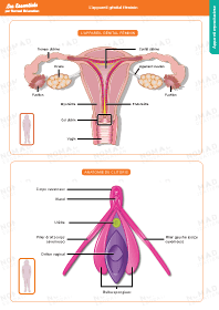 Image d'illustration