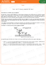 Image d'illustration