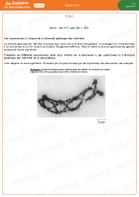 Image d'illustration