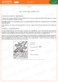 Image d'illustration