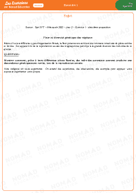 Image d'illustration