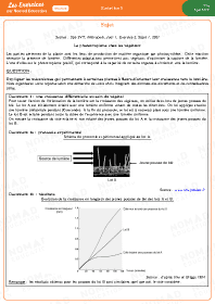 Image d'illustration