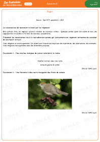 Image d'illustration